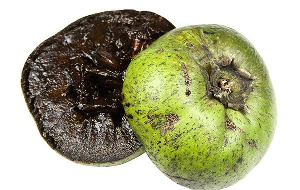 Schwarze Sapote die SchokoladenpuddingFrucht