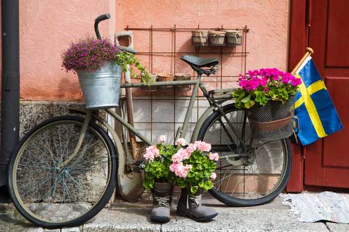 fahrrad bepflanzen